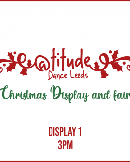 Christmas Display & Fair - Display 1