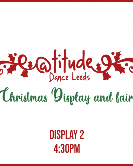 Christmas Display & Fair - Display 2